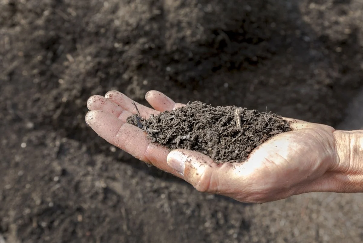 V Prievidzi možno bezplatne prevziať kompost z mestskej kompostárne